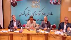 نماینده مردم سیرجان و بردسیر در مجلس شورای اسلامی گفت  استفاده از فن آوریهای نوین  در بخشهای مختلف کشاورزی استان کرمان بویژه در تامین انرژی خورشیدی باید در دستور کار مسولان  باشد .